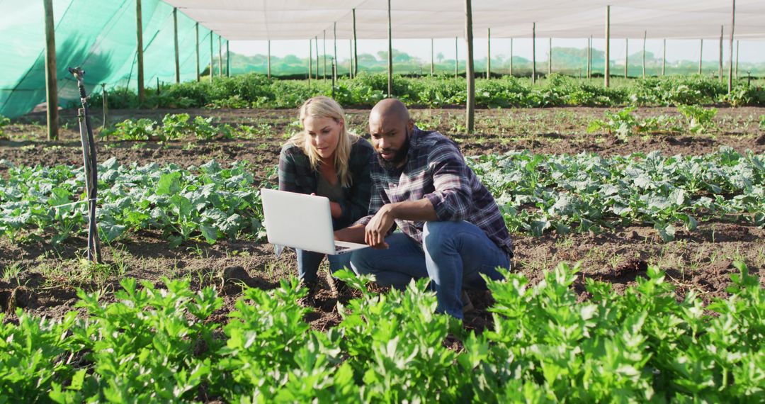 Agricultor utilizando Tecnologías en el campo en el campo para mejorar la producción y sostenibilidad. Foto: PikWizard