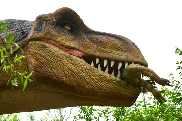 Jurassic World: Renace llega a los cines con un nuevo elenco y una trama que busca recuperar el espíritu de la saga original. Foto: Mike Bird