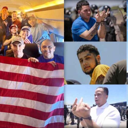 Dos momentos de la liberación. Foto: Captura de pantalla.