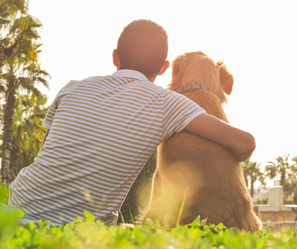 Bienestar animal y cuidados esenciales es el resultado de un compromiso que incluye alimentación adecuada, higiene, ejercicio y visitas al veterinario, todo con mucho amor. Foto: pexels.com (Omar Abozeid).