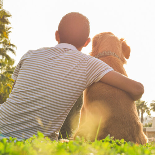 Bienestar animal y cuidados esenciales es el resultado de un compromiso que incluye alimentación adecuada, higiene, ejercicio y visitas al veterinario, todo con mucho amor. Foto: pexels.com (Omar Abozeid).
