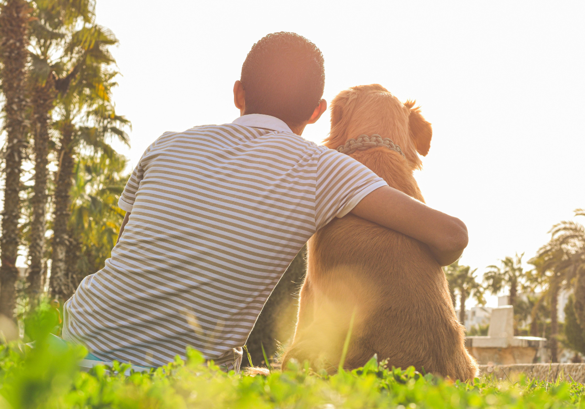 Bienestar animal y cuidados esenciales es el resultado de un compromiso que incluye alimentación adecuada, higiene, ejercicio y visitas al veterinario, todo con mucho amor. Foto: pexels.com (Omar Abozeid).