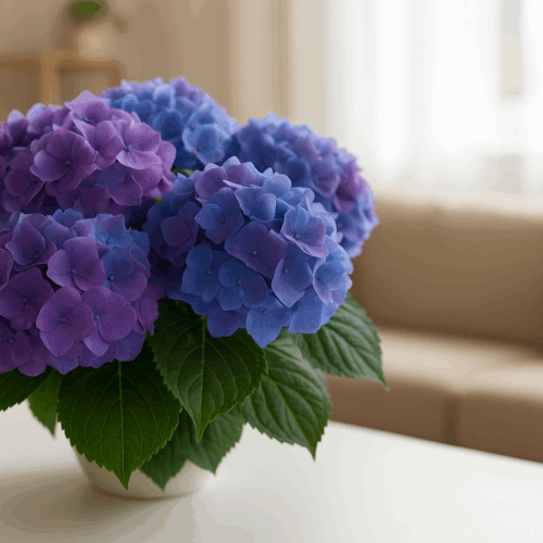 La hortensia, aunque hermosa, puede atraer energía negativa dentro del hogar según el Feng Shui. Foto: Ilustración.