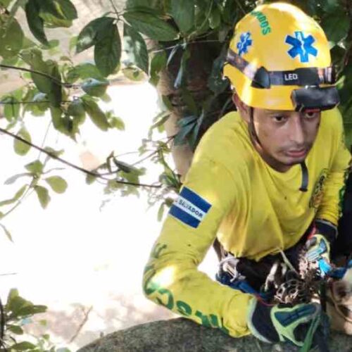 Cuando por fin el rescatista de Comandos de Salvador la subió, Princesa –todavía con el susto en los ojos– fue entregada al Centro de Resguardo Aguilares. Foto: Cortesía.
