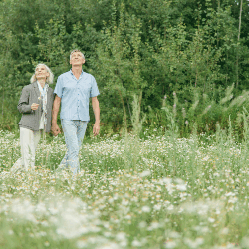 Ejercicios de fuerza ayudan a adultos mayores de 60 años a mejorar su calidad de vida y prevenir enfermedades. Foto: Pexels.com / Anastasia Shuraeva
