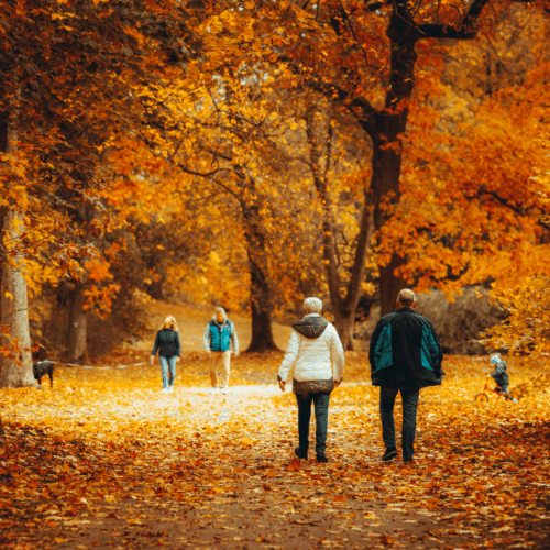 Ejercicio regular y alimentación saludable son clave para proteger el cerebro y reducir el riesgo de Alzheimer. Foto: Omar Ramadan