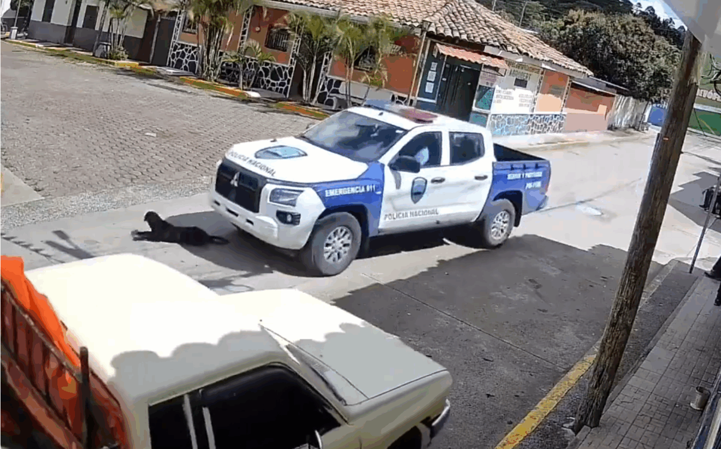 Momento en que una patrulla policial atropella a un perro en una calle de San Buenaventura. Foto: Cortesía.