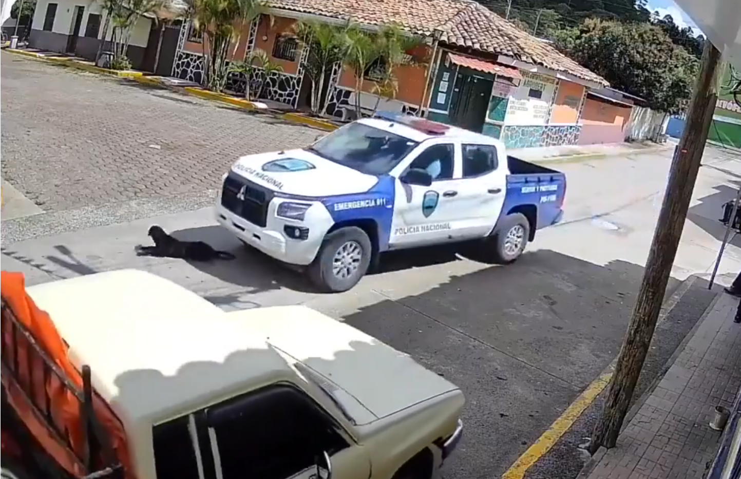 Momento en que una patrulla policial atropella a un perro en una calle de San Buenaventura. Foto: Cortesía.