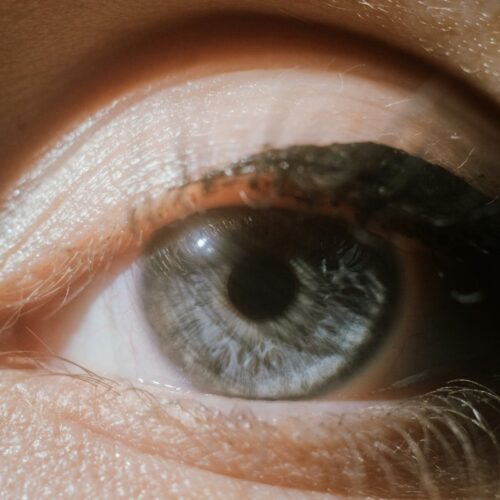 Investigadores demuestran que ácidos grasos poliinsaturados ayudan a revertir la pérdida de visión en adultos mayores. Foto: Martin Baron