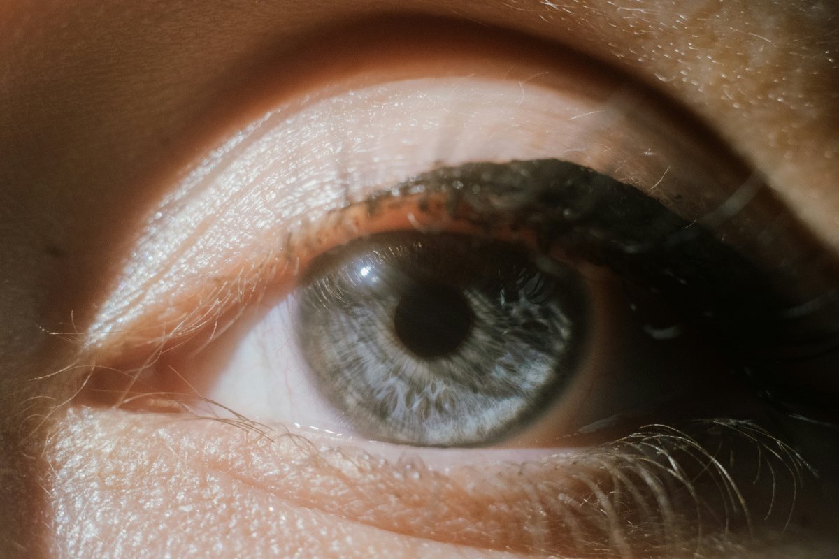 Investigadores demuestran que ácidos grasos poliinsaturados ayudan a revertir la pérdida de visión en adultos mayores. Foto: Martin Baron