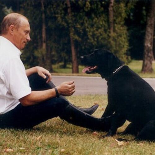 Vladimir Putin durante una reunión oficial en Rusia. Foto: Wikimedia Commons.