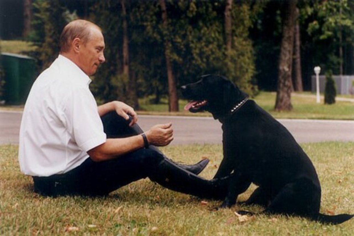 Vladimir Putin durante una reunión oficial en Rusia. Foto: Wikimedia Commons.