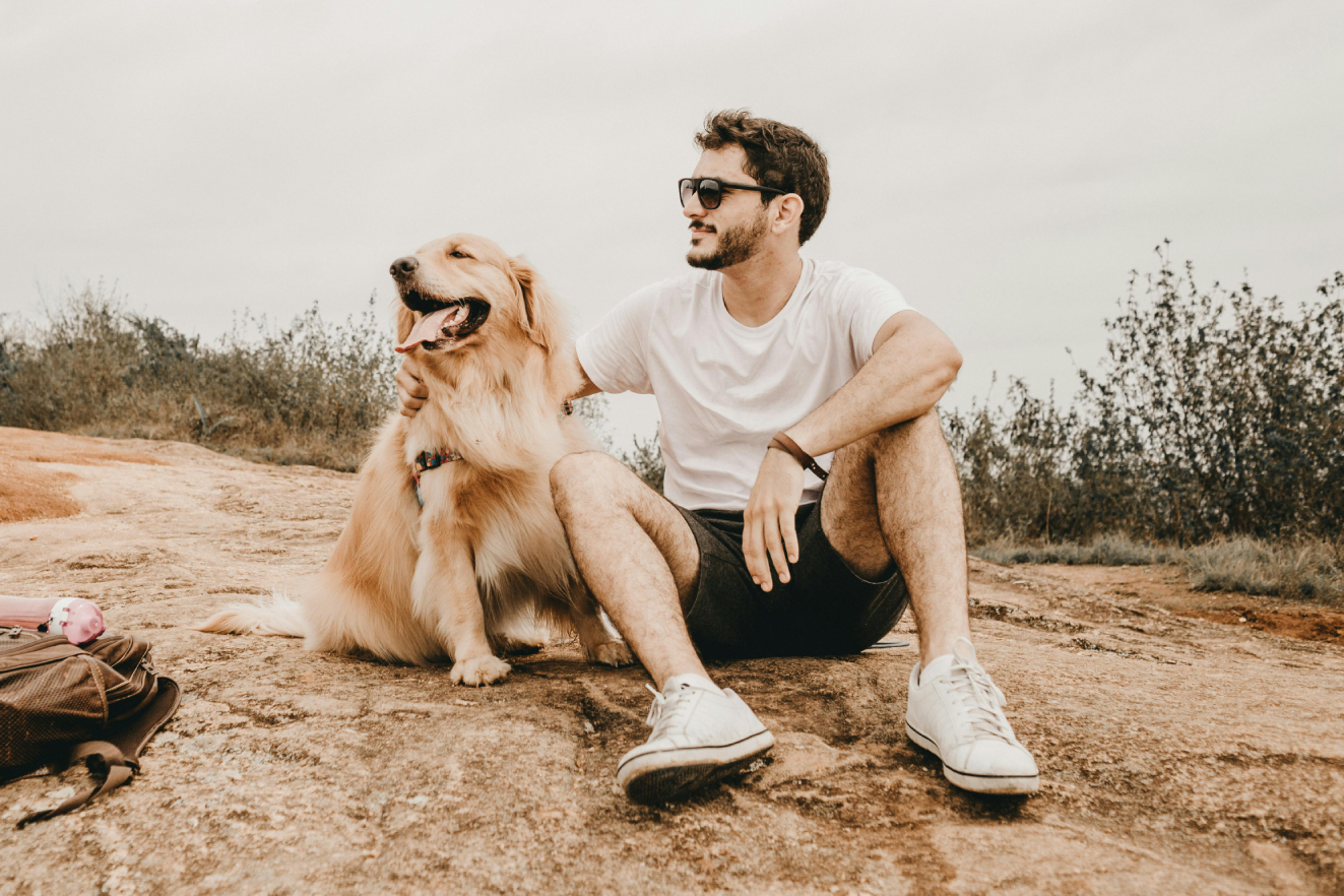 Los animales de compañía aportan estabilidad emocional y ayudan a reducir el estrés en sus dueños. Foto: Pexels.com / Jonathan Borba