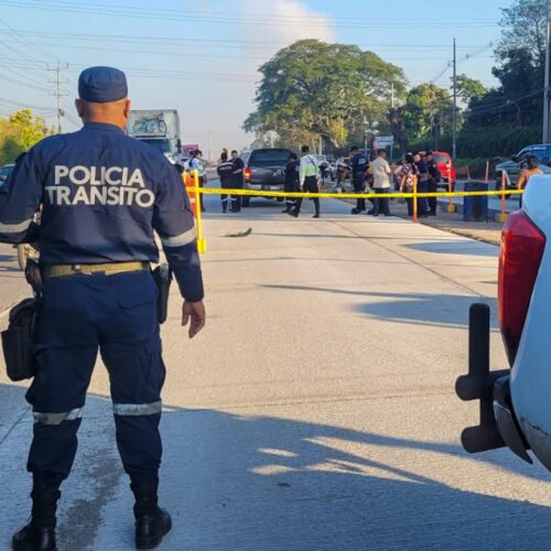 Agentes de Tránsito orientan el tráfico tras el atropello mortal de un peatón en la Panamericana, San Juan Opico. El responsable escapó. Foto: PNCSV.