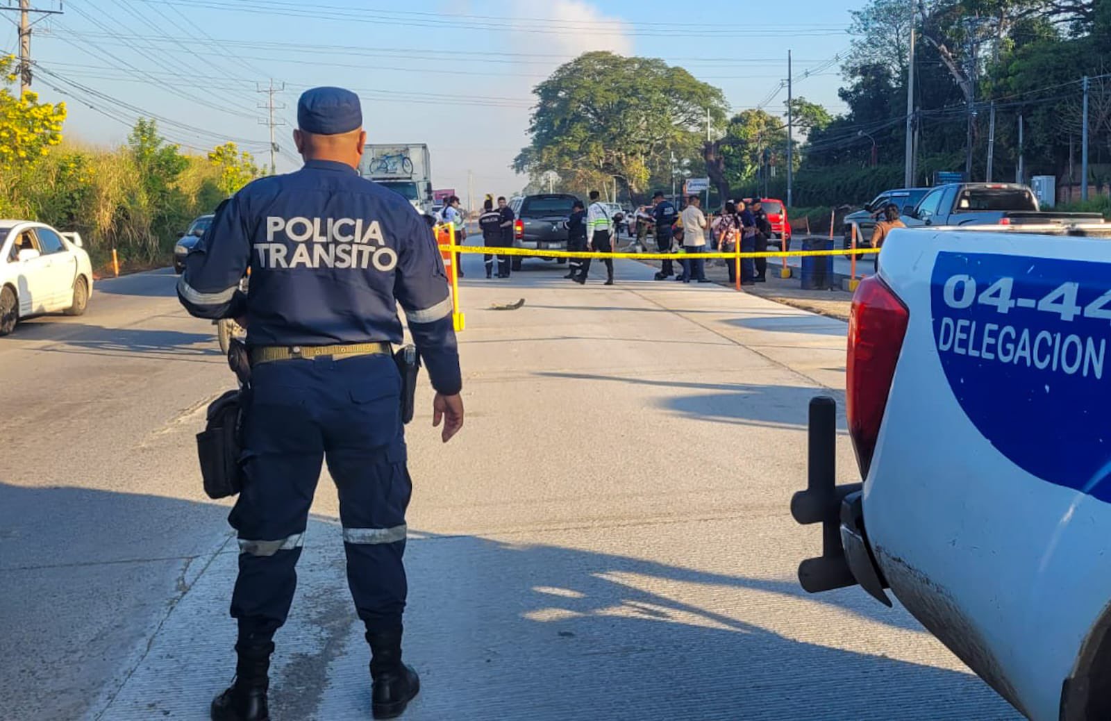 Agentes de Tránsito orientan el tráfico tras el atropello mortal de un peatón en la Panamericana, San Juan Opico. El responsable escapó. Foto: PNCSV.