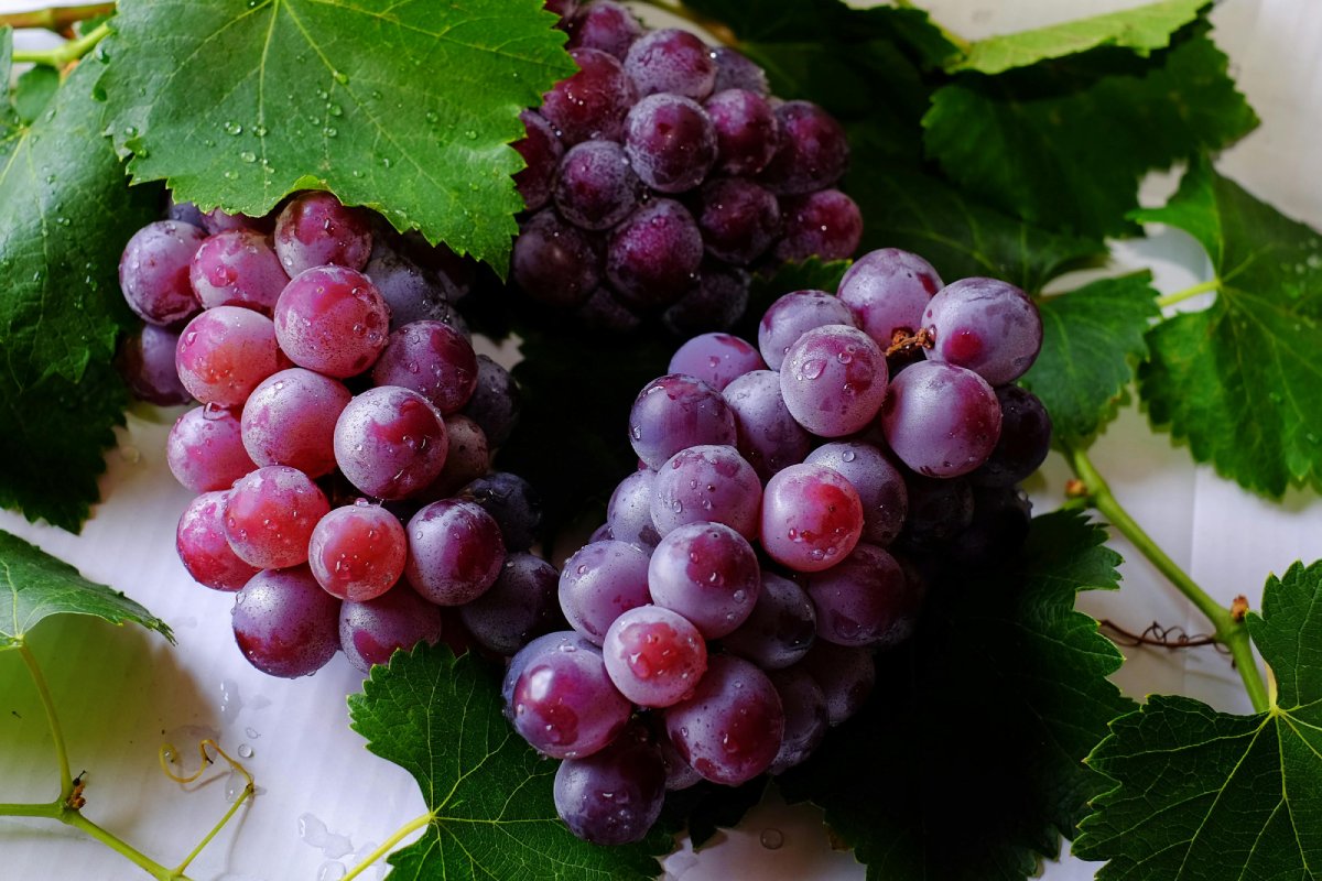 El jugo de uva es rico en antioxidantes como el resveratrol, pero su consumo debe ser moderado para evitar excesos de azúcar. Foto: Pexels / Kai-Chieh Chan