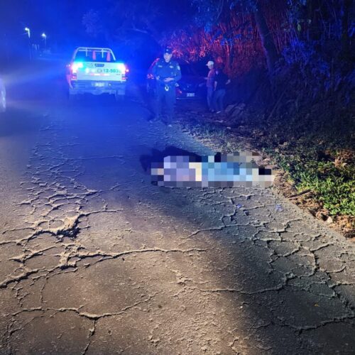 Agentes de la PNC atienden los lugares de los accidentes de tránsito donde fallecieron tres personas en una sola noche. Foto: PNCSV.
