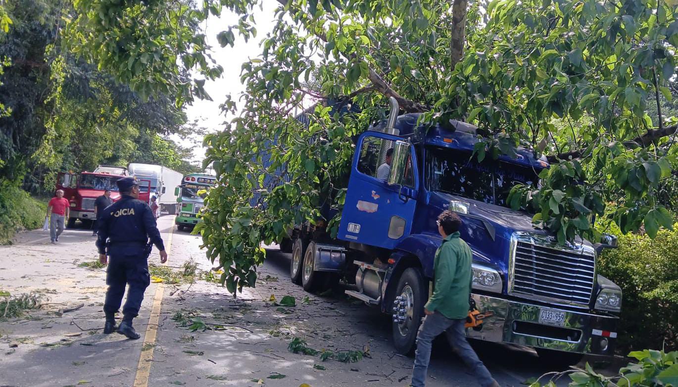Autoridades trabajan para retirar un árbol que cayó sobre una rastra en el km 70 de la carretera Santa Ana-Metapán, bloqueando el paso vehicular. Foto: @PNCSV.
