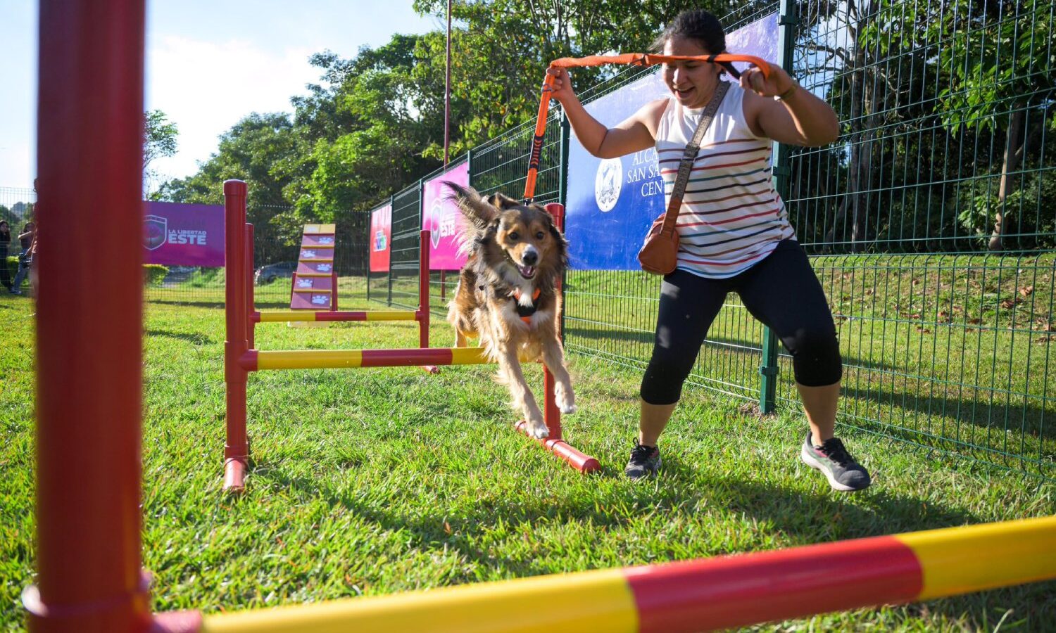 El Parque Bicentenario invita a celebrar una Navidad especial para mascotas este domingo 21 de diciembre, con desfiles, talleres y diversión para la comunidad. Foto: Alcaldía de San Salvador.