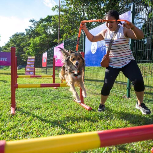 El Parque Bicentenario invita a celebrar una Navidad especial para mascotas este domingo 21 de diciembre, con desfiles, talleres y diversión para la comunidad. Foto: Alcaldía de San Salvador.