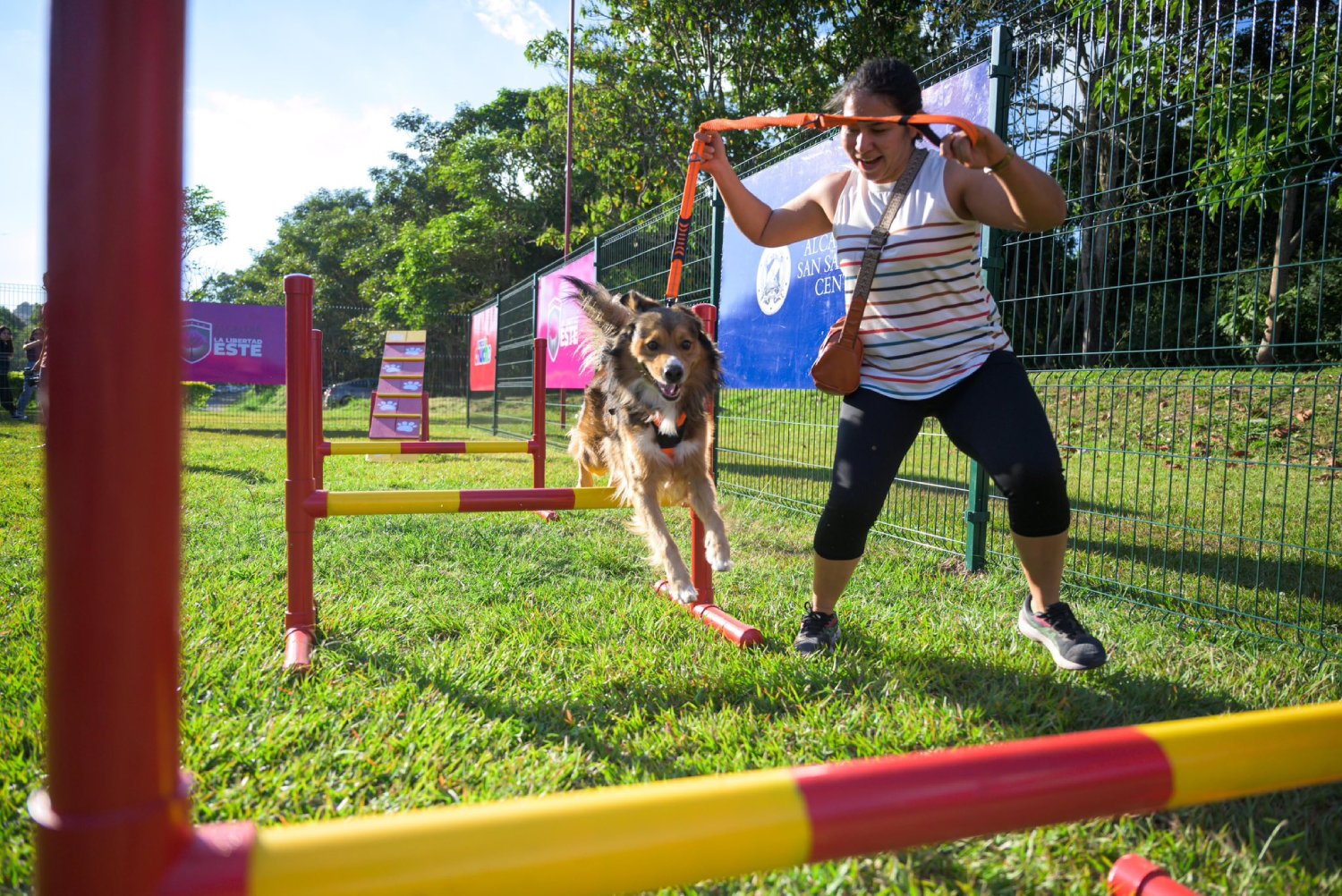El Parque Bicentenario invita a celebrar una Navidad especial para mascotas este domingo 21 de diciembre, con desfiles, talleres y diversión para la comunidad. Foto: Alcaldía de San Salvador.