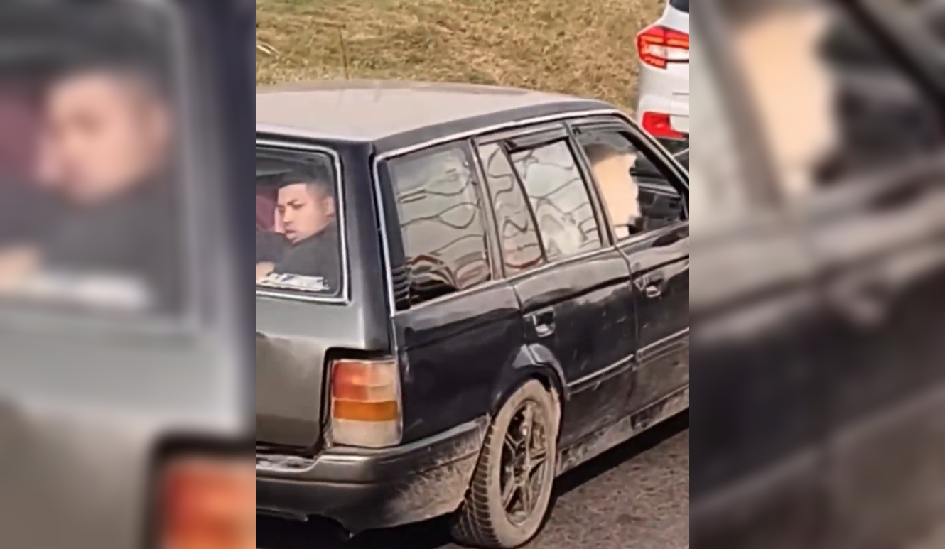 Un video viral muestra a una familia en mudanza donde el "consentido" resultó ser el perro, dejando a un joven apretado en la cajuela del auto. Foto: Cortesía.