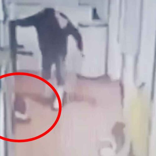 El sujeto fue captado en video mientras cometía el acto de crueldad animal contra un gatito en el Mercado Nuevo Laredo en Ecatepec, desatando la indignación pública. Captura de pantalla