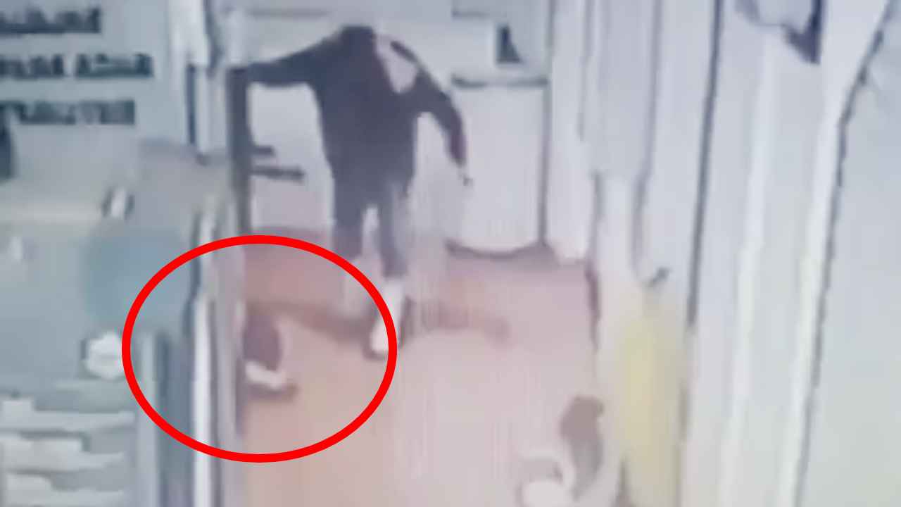 El sujeto fue captado en video mientras cometía el acto de crueldad animal contra un gatito en el Mercado Nuevo Laredo en Ecatepec, desatando la indignación pública. Captura de pantalla