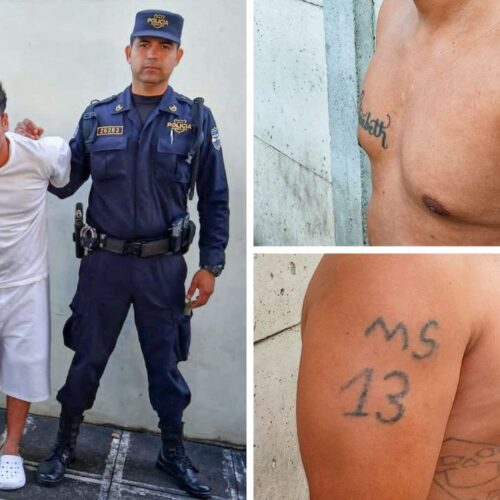 Carlos Alberto Elizondo Portillo, alias Campana, miembro de la MS13, fue deportado de EE. UU. y entregado a la PNC, enfrentando cargos de homicidio agravado y agrupaciones ilícitas en el marco de la Guerra Contra Pandillas. Foto: PNC