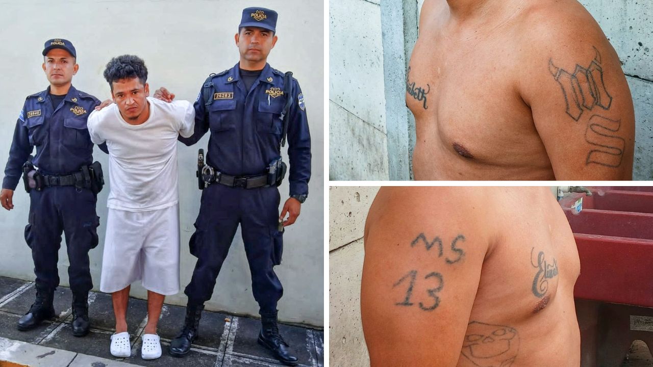 Carlos Alberto Elizondo Portillo, alias Campana, miembro de la MS13, fue deportado de EE. UU. y entregado a la PNC, enfrentando cargos de homicidio agravado y agrupaciones ilícitas en el marco de la Guerra Contra Pandillas. Foto: PNC