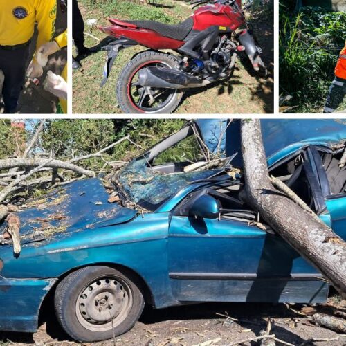 Una emergencia en San Salvador Este: dos personas resultaron heridas y un vehículo terminó destrozado después de que un árbol cae sobre moto en Tonacatepeque. Conoce los detalles del rescate y las recomendaciones de las autoridades. Fotos: Protección Civil