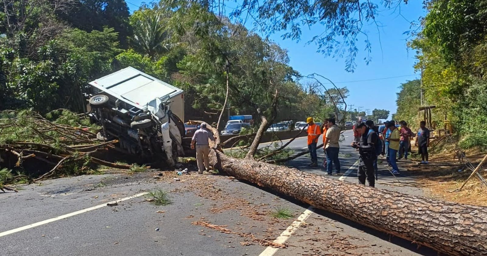 Un árbol de gran tamaño cayó sobre un camión en la carretera San Salvador-Sonsonate, bloqueando el paso y dejando a dos personas atrapadas. Equipos de rescate trabajan en el lugar. Foto: @PNCSV.