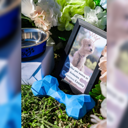 El alcalde Mario Durán habilitó el Jardín de Huellitas en el cementerio La Bermeja, un espacio digno para el descanso de animales de compañía. Foto: Alcaldía de San Salvador Centro.