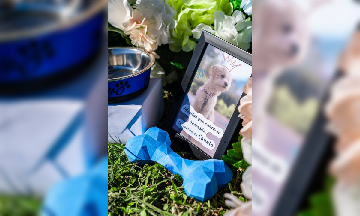 El alcalde Mario Durán habilitó el Jardín de Huellitas en el cementerio La Bermeja, un espacio digno para el descanso de animales de compañía. Foto: Alcaldía de San Salvador Centro.