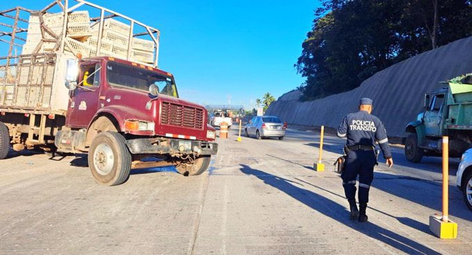 Un camión cargado de pollos se accidentó en el km 21 ½ de la carretera Panamericana, generando congestión vehicular hacia San Salvador. Foto: @PNCSV.
