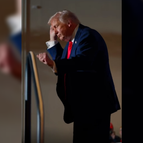 El presidente Trump protagoniza un video viral en TikTok usando el éxito de Daddy Yankee para presumir los precios del combustible en EE. UU. Foto: @whitehouse.