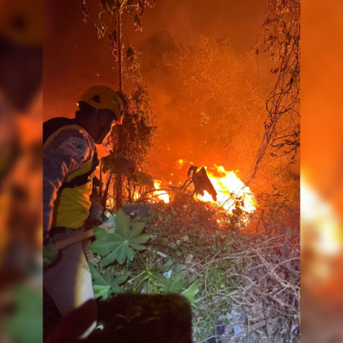Diversas instituciones de socorro trabajan para sofocar un fuerte incendio que se originó en un basurero de Santiago de María, afectando dos manzanas de maleza. Fofo: @BomberosSV.