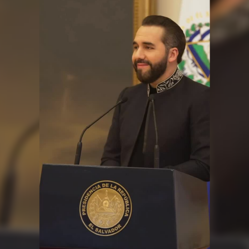 Gráficos de LPG Datos confirman la tendencia al alza en la aprobación presidencial de la gestión actual. Foto: @NayibBukele