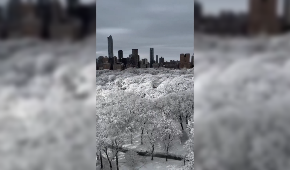 La tormenta "Blizzard 2026" dejó casi 20 pulgadas de nieve en Central Park, marcando un récord histórico en Nueva York y paralizando vuelos, metro y carreteras. Las autoridades reportan condiciones extremas en toda la ciudad. Foto: @WeatherMonitors.