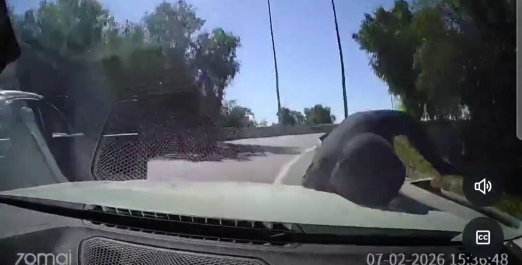 Un conductor en Chile se volvió viral tras atropellar a un asaltante armado para escapar de una "encerrona". El debate sobre la legítima defensa y la seguridad se intensifica en la región. Foto: Cortesía.