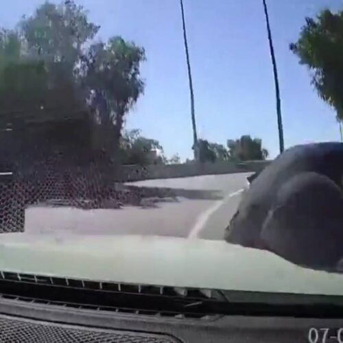 Un conductor en Chile se volvió viral tras atropellar a un asaltante armado para escapar de una "encerrona". El debate sobre la legítima defensa y la seguridad se intensifica en la región. Foto: Cortesía.