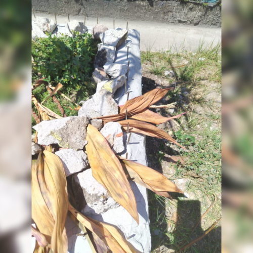 Agentes del CAM verificaron y retiraron los clavos instalados en las maceteras para evitar tragedias frente a la Escuela Parvularia Colonia Atlacatl.