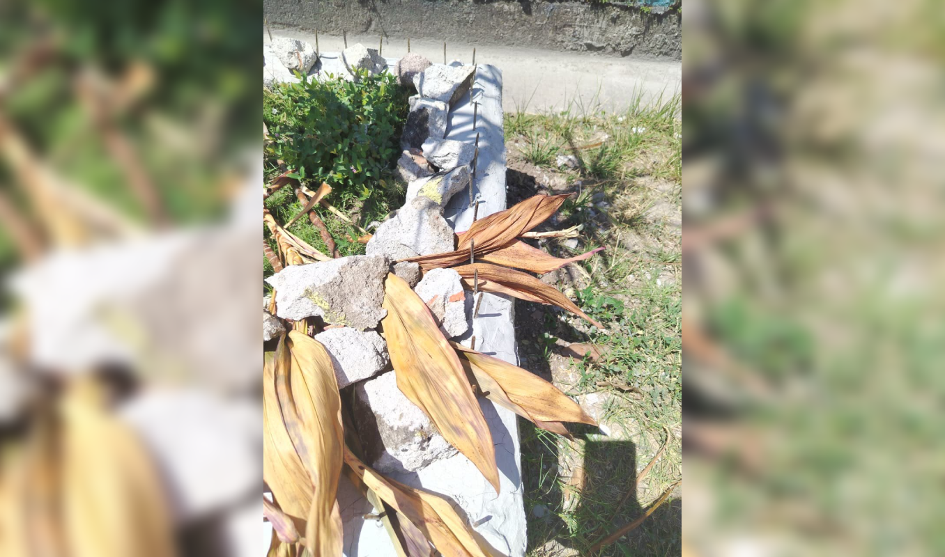 Agentes del CAM verificaron y retiraron los clavos instalados en las maceteras para evitar tragedias frente a la Escuela Parvularia Colonia Atlacatl.