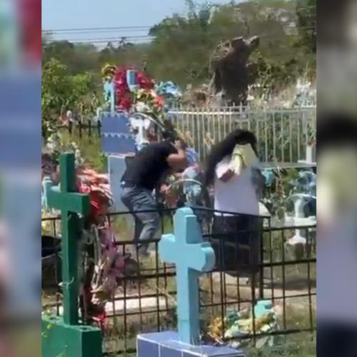 Ataques de abejas en un cementerio y una escuela de Santiago Nonualco dejan varios afectados. Comandos de Salvamento y Bomberos atendieron las emergencias. Foto: Sivar News SV.