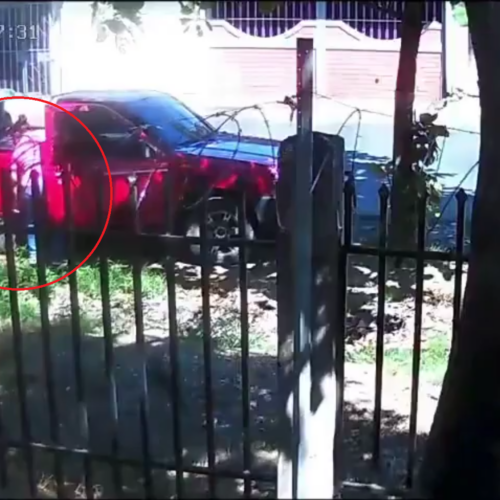 El alcalde Gustavo Acevedo condenó el abandono de un cadáver animal en calles de Santa Ana, advirtiendo sanciones por violar la Ley de Bienestar Animal y afectar la salud pública. Foto: Alcaldía de Santa Ana.