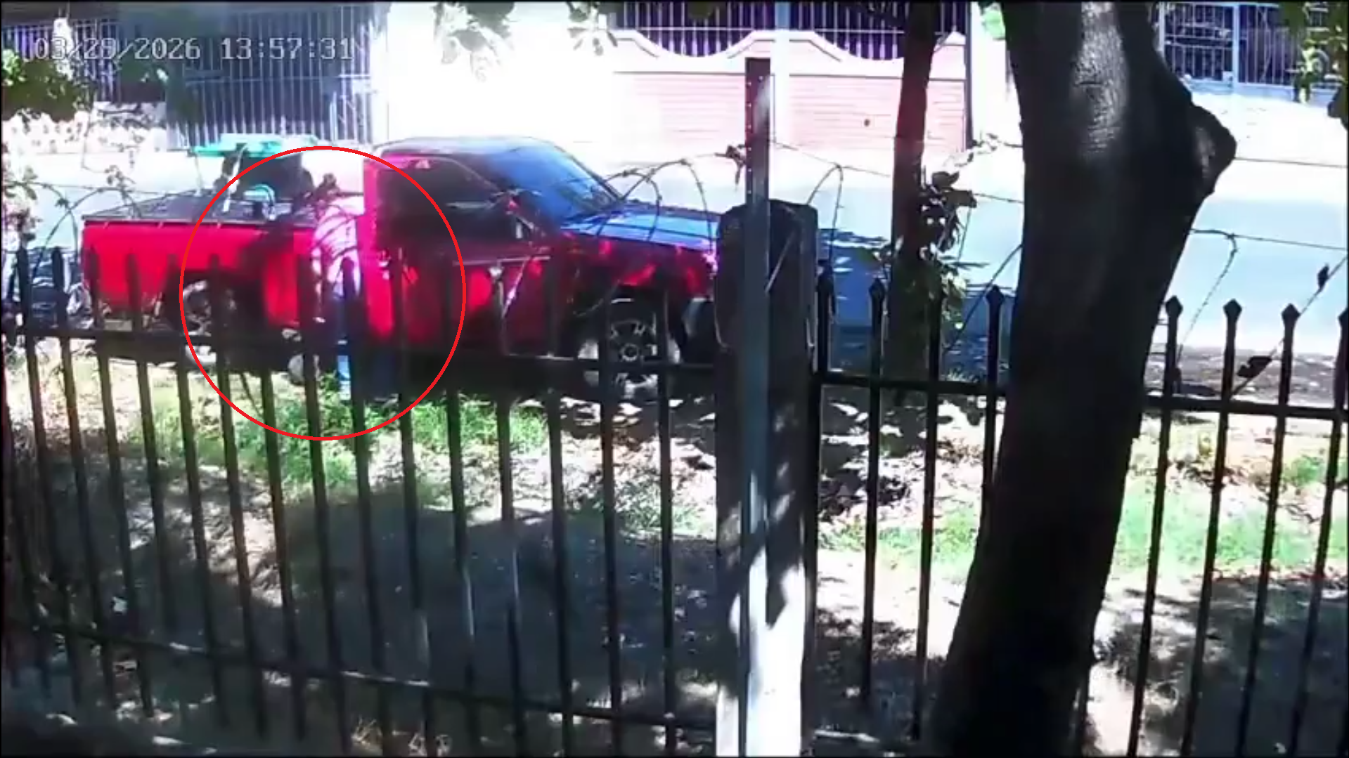 El alcalde Gustavo Acevedo condenó el abandono de un cadáver animal en calles de Santa Ana, advirtiendo sanciones por violar la Ley de Bienestar Animal y afectar la salud pública. Foto: Alcaldía de Santa Ana.