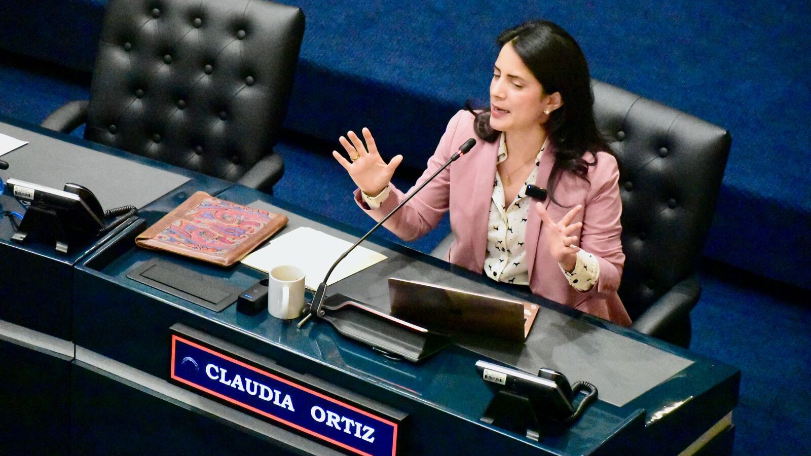 La diputada Claudia Ortiz propuso un gravamen del 3% a turistas que usen Airbnb para crear un fondo que otorgue bonos de vivienda a salvadoreños. La iniciativa busca equilibrar el mercado inmobiliario. Foto: La Diáspora 503