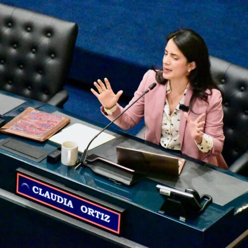 La diputada Claudia Ortiz propuso un gravamen del 3% a turistas que usen Airbnb para crear un fondo que otorgue bonos de vivienda a salvadoreños. La iniciativa busca equilibrar el mercado inmobiliario. Foto: La Diáspora 503