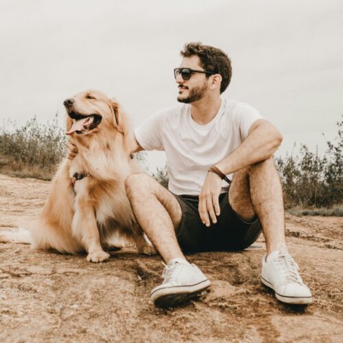 No dejes que el calor extremo afecte a tus mascotas. Descubre cómo hidratarlos y evitar golpes de calor en las vacaciones por El Salvador. Foto: Pexels / Jonathan Borba.