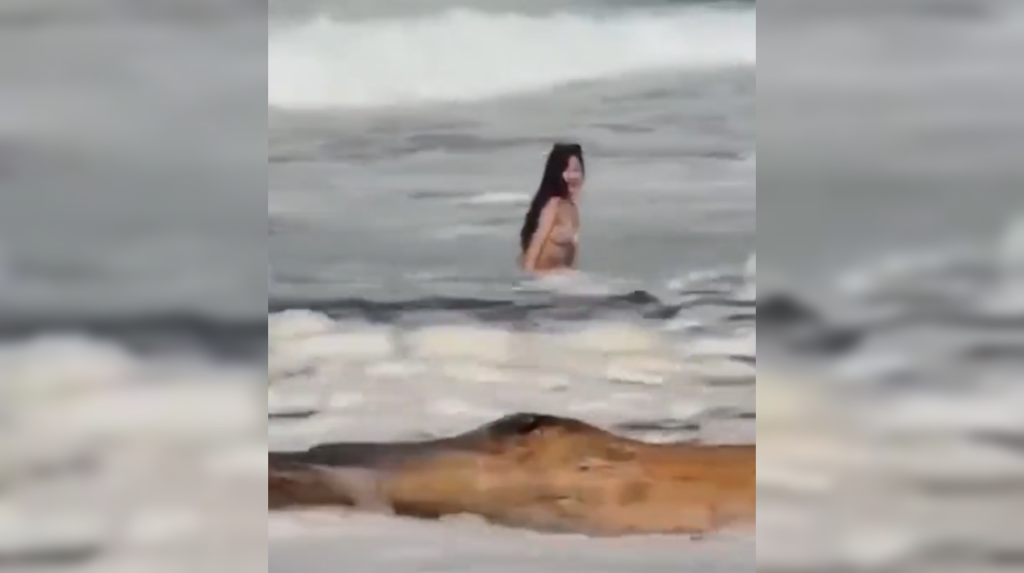 Una influencer desapareció tras ser arrastrada por una Snaker Wave en Phuket, Tailandia. El video de su celular registró sus últimos segundos de vida. Las autoridades alertan sobre el peligro de las olas traicioneras. Foto: Cortesía.
